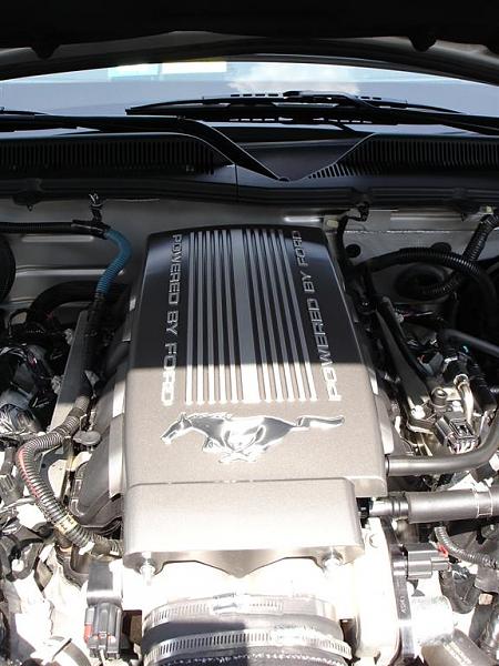 Factory Engine Cover $$$$$$$$$-dsc01473-large-.jpg