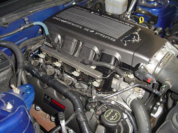 Factory Engine Cover $$$$$$$$$-dsc03267-large-.jpg