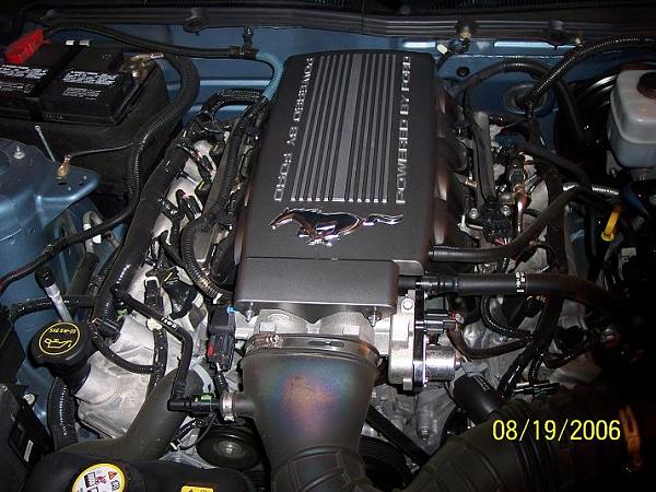 Factory Engine Cover $$$$$$$$$-plenumcover.jpg