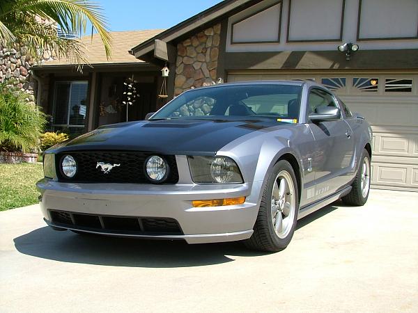 WANTED Pics of GT-500 Hood on Non Shelby Fascia-shelbyhood5.jpg