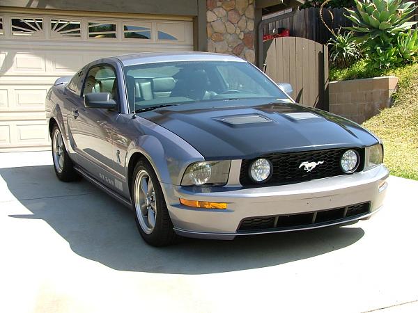 WANTED Pics of GT-500 Hood on Non Shelby Fascia-shelbyhood1.jpg