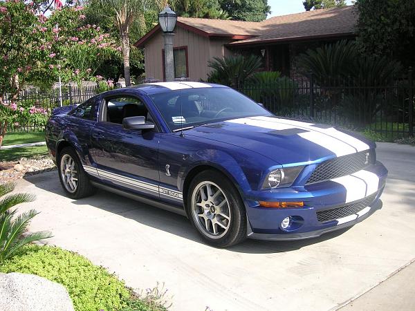 05stangkc AKA GT500KC It's Here! Vista Blue GT-500 Coupe!-pict0062.jpg