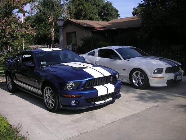 05stangkc AKA GT500KC It's Here! Vista Blue GT-500 Coupe!-pict0063.jpg