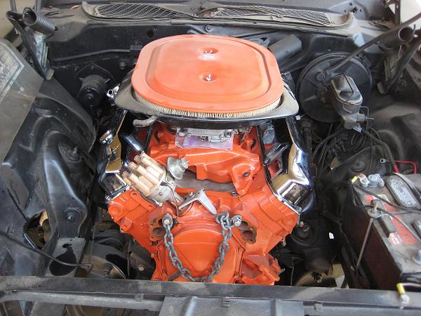 Andrew Casey's Cancer Battle-andrew-011.jpg