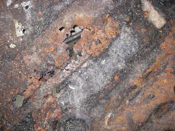 Andrew Casey's Cancer Battle-andrew-082.jpg