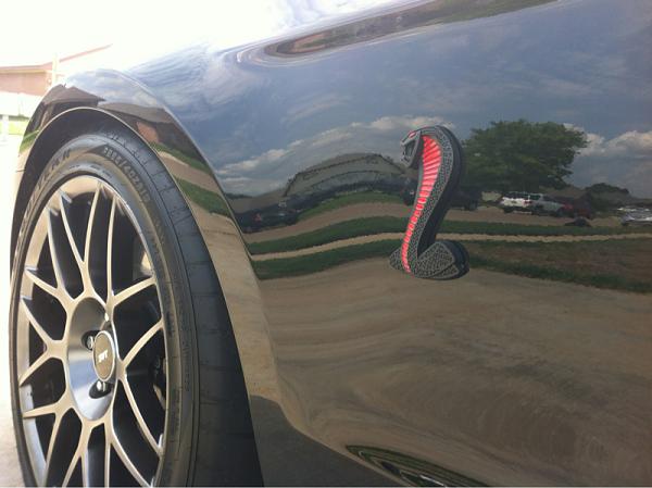 2005-2009 S-197 Gen 1 FORD MUSTANG Black Picture Gallery!-image-1390763312.jpg