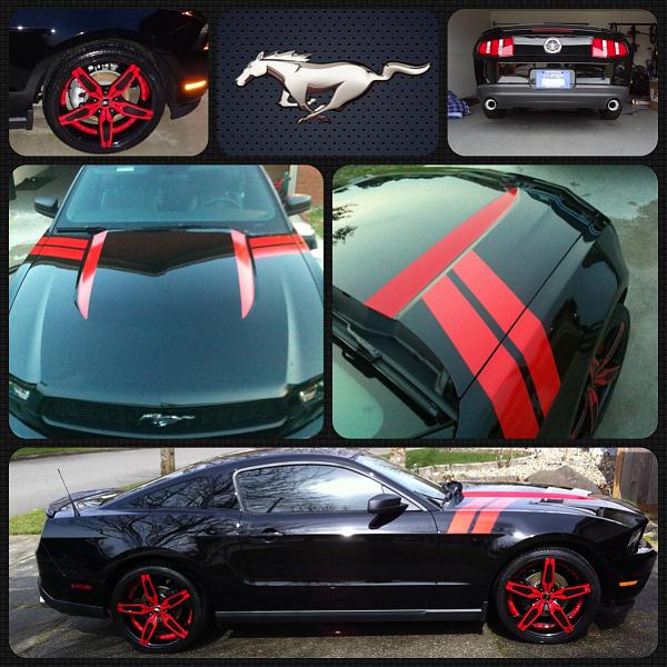 2005-2009 S-197 Gen 1 FORD MUSTANG Black Picture Gallery!-image-1999911744.jpg