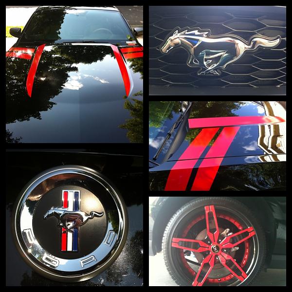 2005-2009 S-197 Gen 1 FORD MUSTANG Black Picture Gallery!-image-419537351.jpg