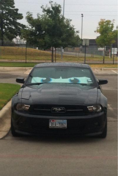 2005-2009 S-197 Gen 1 FORD MUSTANG Black Picture Gallery!-image-1878860204.jpg