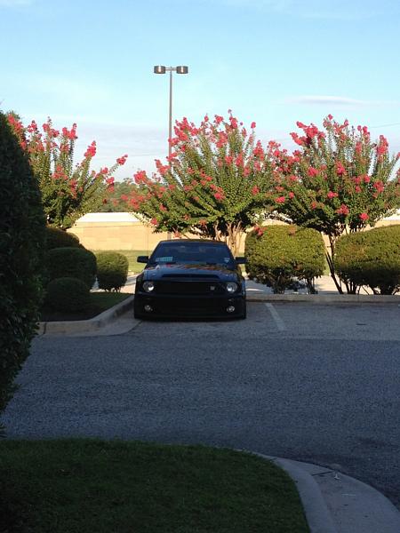 2005-2009 S-197 Gen 1 FORD MUSTANG Black Picture Gallery!-image-303592729.jpg