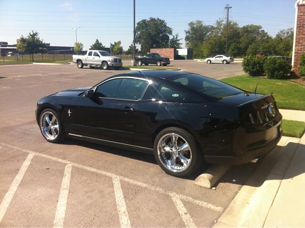 2005-2009 S-197 Gen 1 FORD MUSTANG Black Picture Gallery!-image-3340513129.jpg
