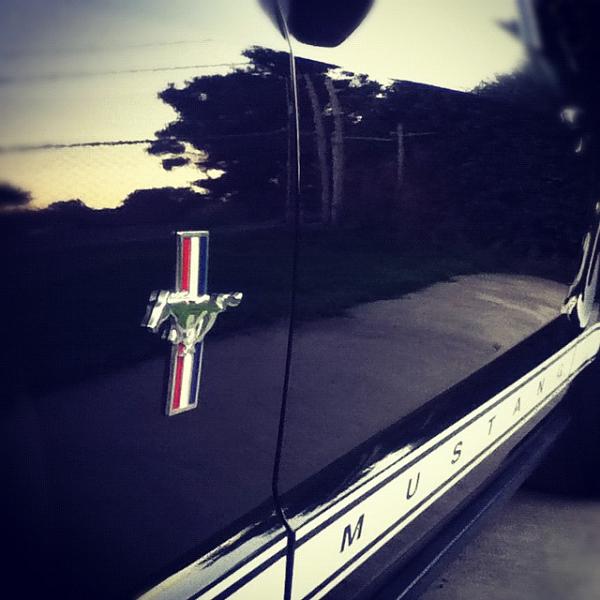 2005-2009 S-197 Gen 1 FORD MUSTANG Black Picture Gallery!-image-2479540715.jpg