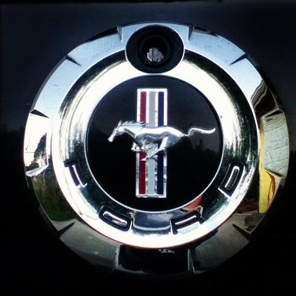 2005-2009 S-197 Gen 1 FORD MUSTANG Black Picture Gallery!-image-2078946709.jpg