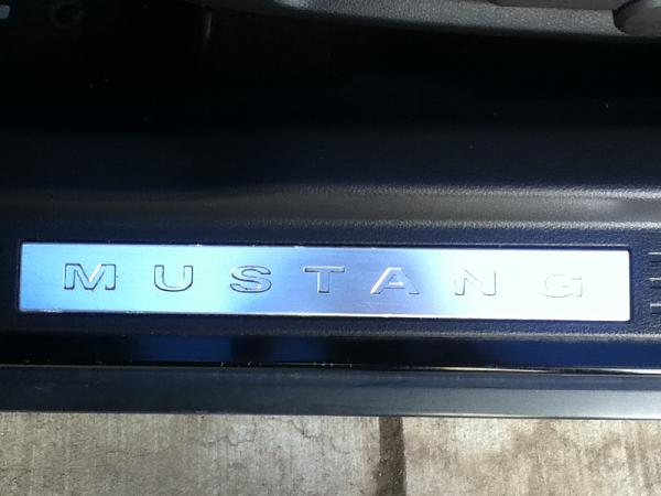 2005-2009 S-197 Gen 1 FORD MUSTANG Black Picture Gallery!-image-2765465991.jpg