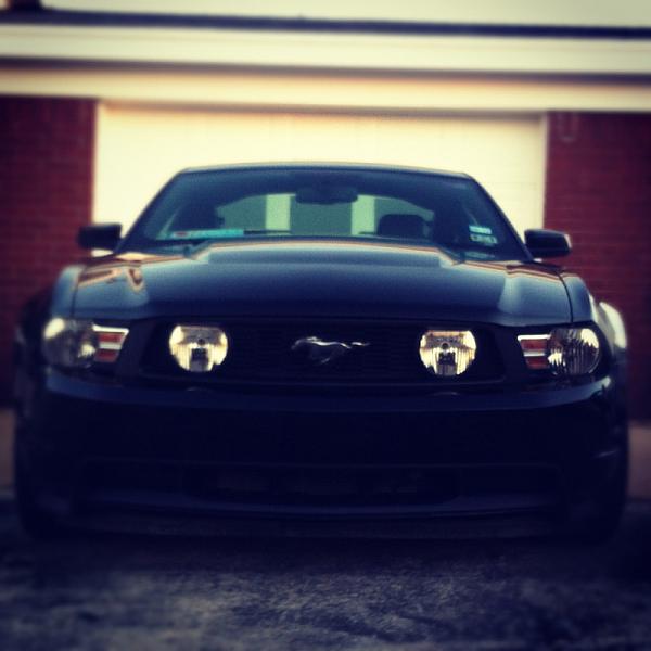 2005-2009 S-197 Gen 1 FORD MUSTANG Black Picture Gallery!-image-3004270654.jpg