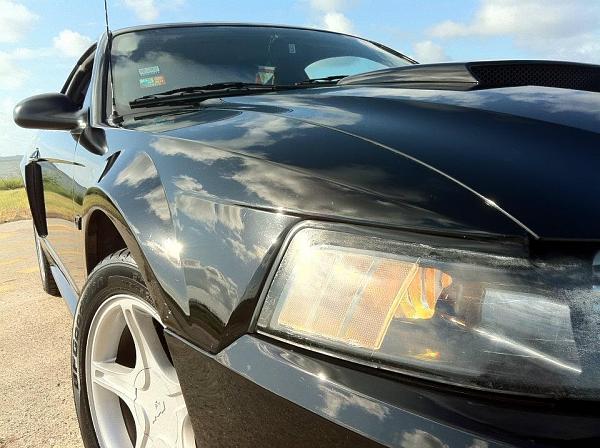 2005-2009 S-197 Gen 1 FORD MUSTANG Black Picture Gallery!-image-2467797120.jpg