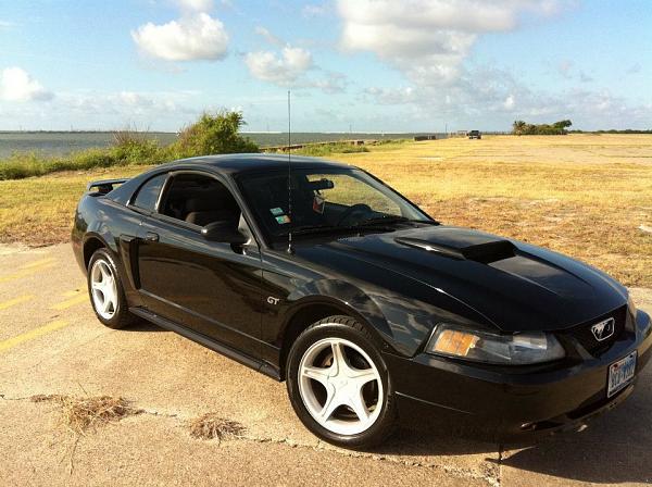 2005-2009 S-197 Gen 1 FORD MUSTANG Black Picture Gallery!-image-1055640383.jpg
