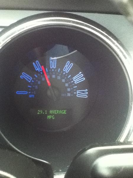 2005-2009 S-197 Gen 1 FORD MUSTANG Black Picture Gallery!-image-1194704026.jpg