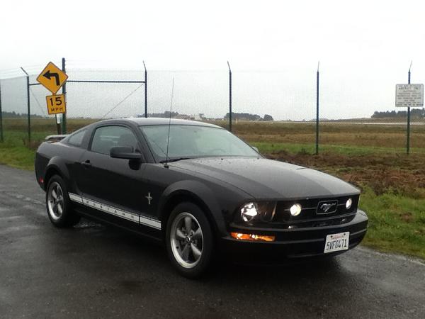 2007-2009 S-197 Gen 1 FORD MUSTANG Black Picture Gallery!-image-3165866225.jpg