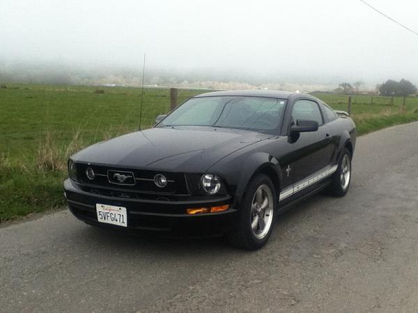 2007-2009 S-197 Gen 1 FORD MUSTANG Black Picture Gallery!-image-3469508056.jpg