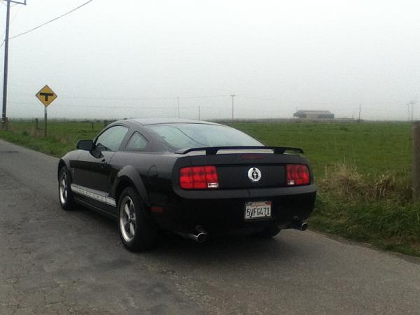 2007-2009 S-197 Gen 1 FORD MUSTANG Black Picture Gallery!-image-2993726866.jpg