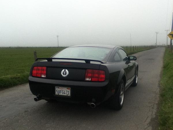 2005-2009 S-197 Gen 1 FORD MUSTANG Black Picture Gallery!-image-127191349.jpg