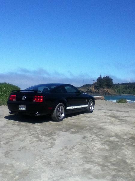 2005-2009 S-197 Gen 1 FORD MUSTANG Black Picture Gallery!-image-2480435731.jpg