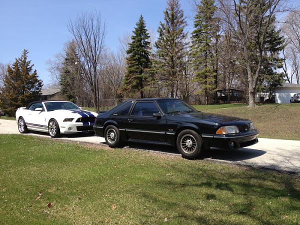 2005-2009 S-197 Gen 1 FORD MUSTANG Black Picture Gallery!-image-435667121.jpg