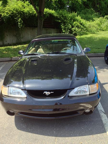 2005-2009 S-197 Gen 1 FORD MUSTANG Black Picture Gallery!-image-4070661032.jpg