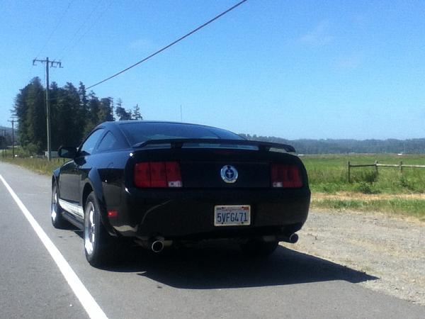 2005-2009 S-197 Gen 1 FORD MUSTANG Black Picture Gallery!-image-344576777.jpg