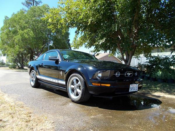 2005-2009 S-197 Gen 1 FORD MUSTANG Black Picture Gallery!-image-3685408334.jpg