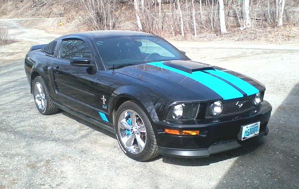 2007-2009 S-197 Gen 1 FORD MUSTANG Black Picture Gallery!-0511131115aa.jpg