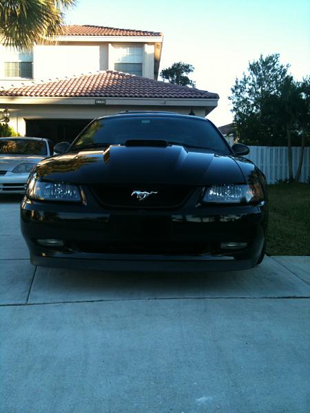 2005-2009 S-197 Gen 1 FORD MUSTANG Black Picture Gallery!-image-1320170051.jpg