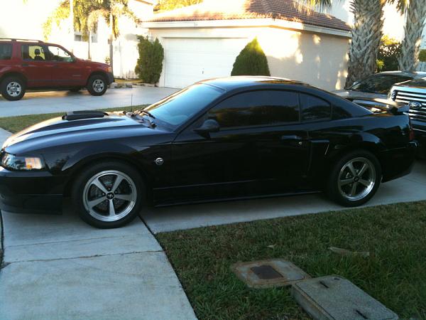 2005-2009 S-197 Gen 1 FORD MUSTANG Black Picture Gallery!-image-261626509.jpg