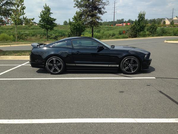 2007-2009 S-197 Gen 1 FORD MUSTANG Black Picture Gallery!-image-551011082.jpg
