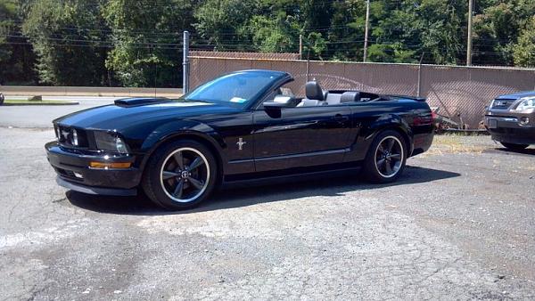 2007-2009 S-197 Gen 1 FORD MUSTANG Black Picture Gallery!-image-2618630179.jpg