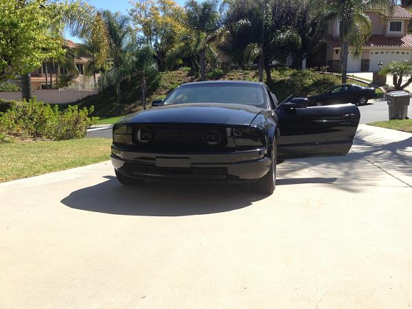 2005-2009 S-197 Gen 1 FORD MUSTANG Black Picture Gallery!-image-4051144126.jpg