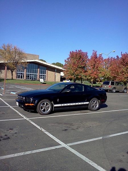 2005-2009 S-197 Gen 1 FORD MUSTANG Black Picture Gallery!-image-1587775988.jpg