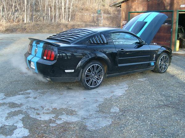 2005-2009 S-197 Gen 1 FORD MUSTANG Black Picture Gallery!-s7302677ab.jpg