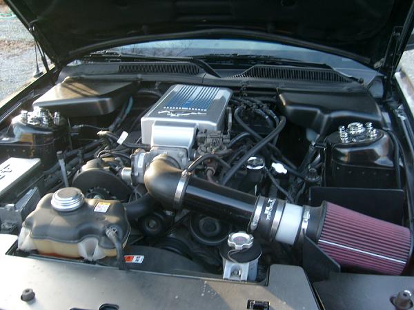 2005-2009 S-197 Gen 1 FORD MUSTANG Black Picture Gallery!-s7302672ab.jpg