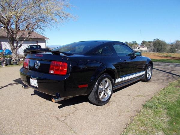 2005-2009 S-197 Gen 1 FORD MUSTANG Black Picture Gallery!-image-3726224724.jpg