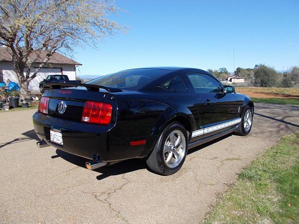 2007-2009 S-197 Gen 1 FORD MUSTANG Black Picture Gallery!-image-3726224724.jpg