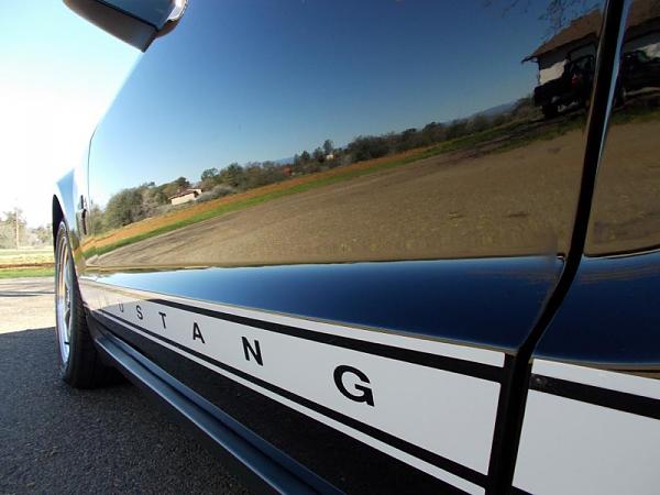 2005-2009 S-197 Gen 1 FORD MUSTANG Black Picture Gallery!-image-2367338178.jpg