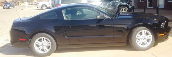 2005-2009 S-197 Gen 1 FORD MUSTANG Black Picture Gallery!-image-1587988384.jpg