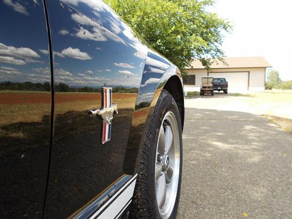 2005-2009 S-197 Gen 1 FORD MUSTANG Black Picture Gallery!-image-4130950883.jpg