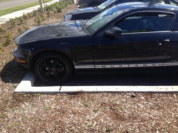 2005-2009 S-197 Gen 1 FORD MUSTANG Black Picture Gallery!-image-3543212147.jpg