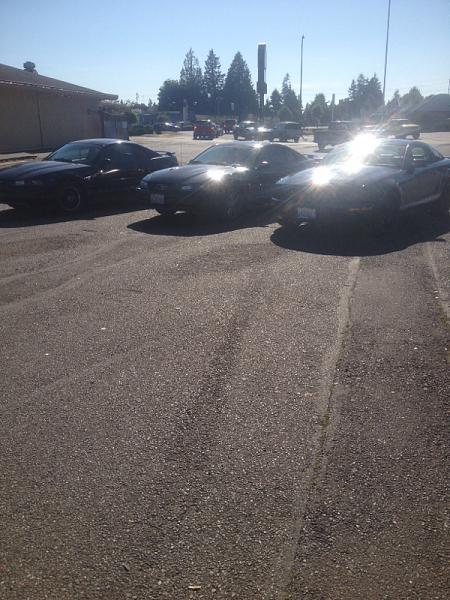 2005-2009 S-197 Gen 1 FORD MUSTANG Black Picture Gallery!-image-4222824735.jpg