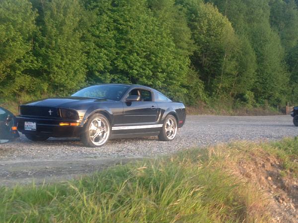 2005-2009 S-197 Gen 1 FORD MUSTANG Black Picture Gallery!-image-3407612982.jpg