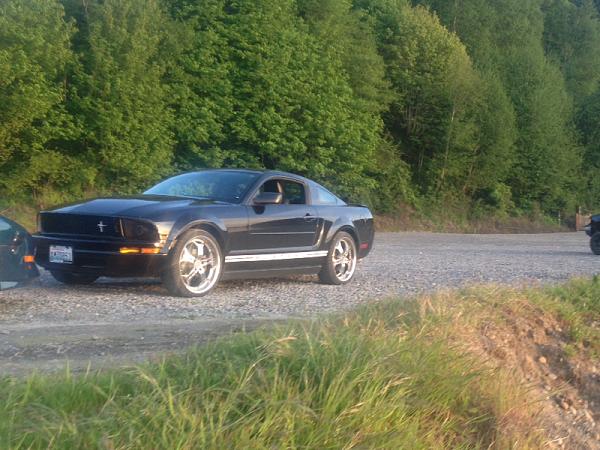 2007-2009 S-197 Gen 1 FORD MUSTANG Black Picture Gallery!-image-3407612982.jpg