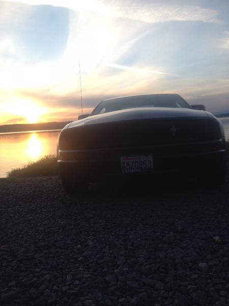 2005-2009 S-197 Gen 1 FORD MUSTANG Black Picture Gallery!-image-1108077079.jpg